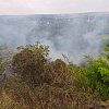 В Армавире потушили лесной пожар на площади в 0,3 га 