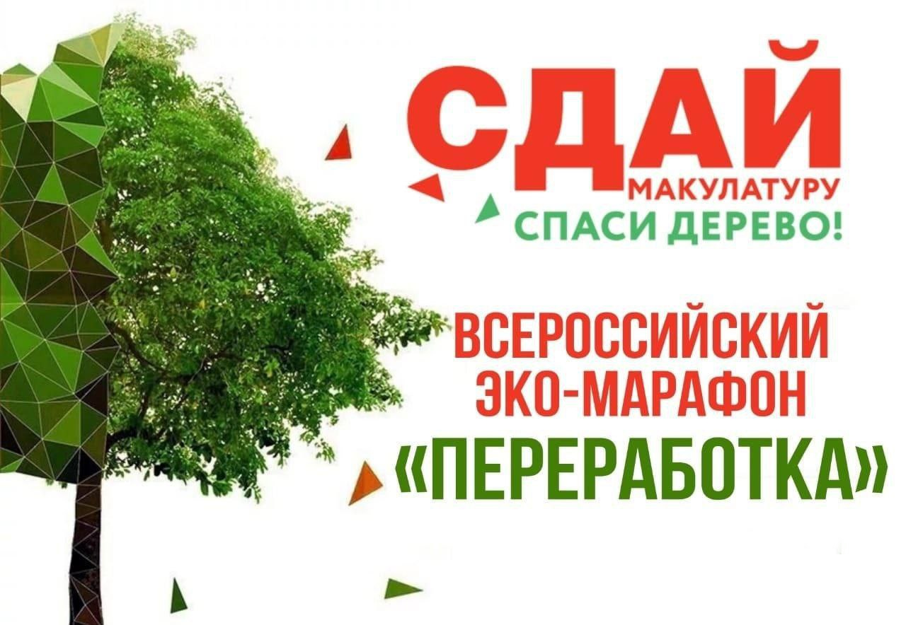 Жителей Армавира приглашают принять участие в акции «Сдай макулатуру- спаси дерево»