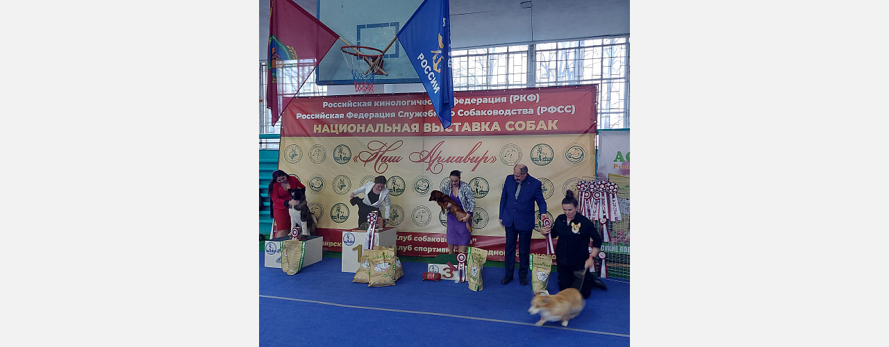 На Всероссийскую национальную выставку собак в Армавире приехали более 200 участников 