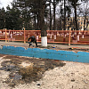 В Армавире к 1 мая преобразятся фонтаны «Дружба» и «Победа»