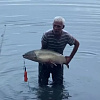Мужчина поймал 17-килограммовую рыбу в водохранилище Армавира