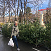 Жителей Армавира ждут на елочном базаре и новогодней ярмарке до 31 декабря