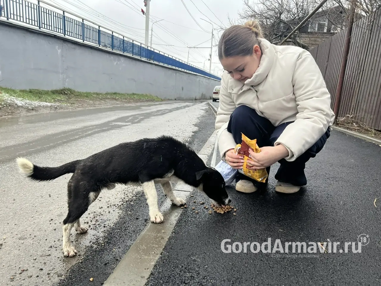 В Армавире Первые из МАОУ СОШ №4 приняли участие в акции «Четыре лапы»