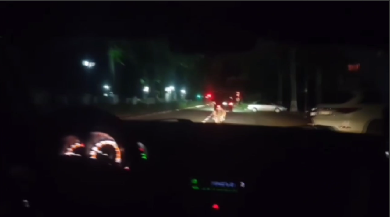 Во время рейда автоинспекторы Армавира пресекли 36 нарушений ПДД 