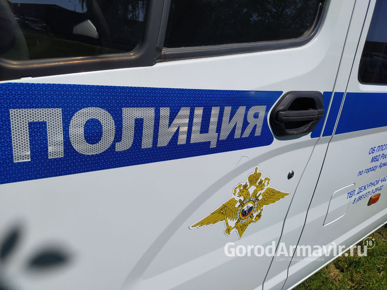 После расстрела домашнего кота полиция Армавира инициировала проверку 