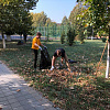 Молодежь Армавира привела в порядок город во время экологической акции 