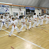 В Армавире 120 каратистов клуба «Данзан» побывали на технических сборах