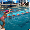 В Армавире участниками Первенства по плаванию стали около 100 детей