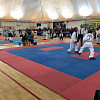 В Армавире участниками краевых соревнований по тхеквондо стали 350 спортсменов