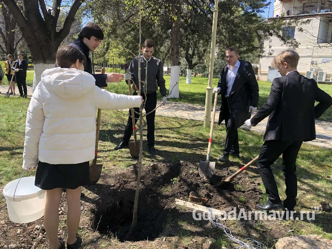 В Армавире выпускники гимназии №1 посадили 30 деревьев в рамках акции «Сад Памяти»