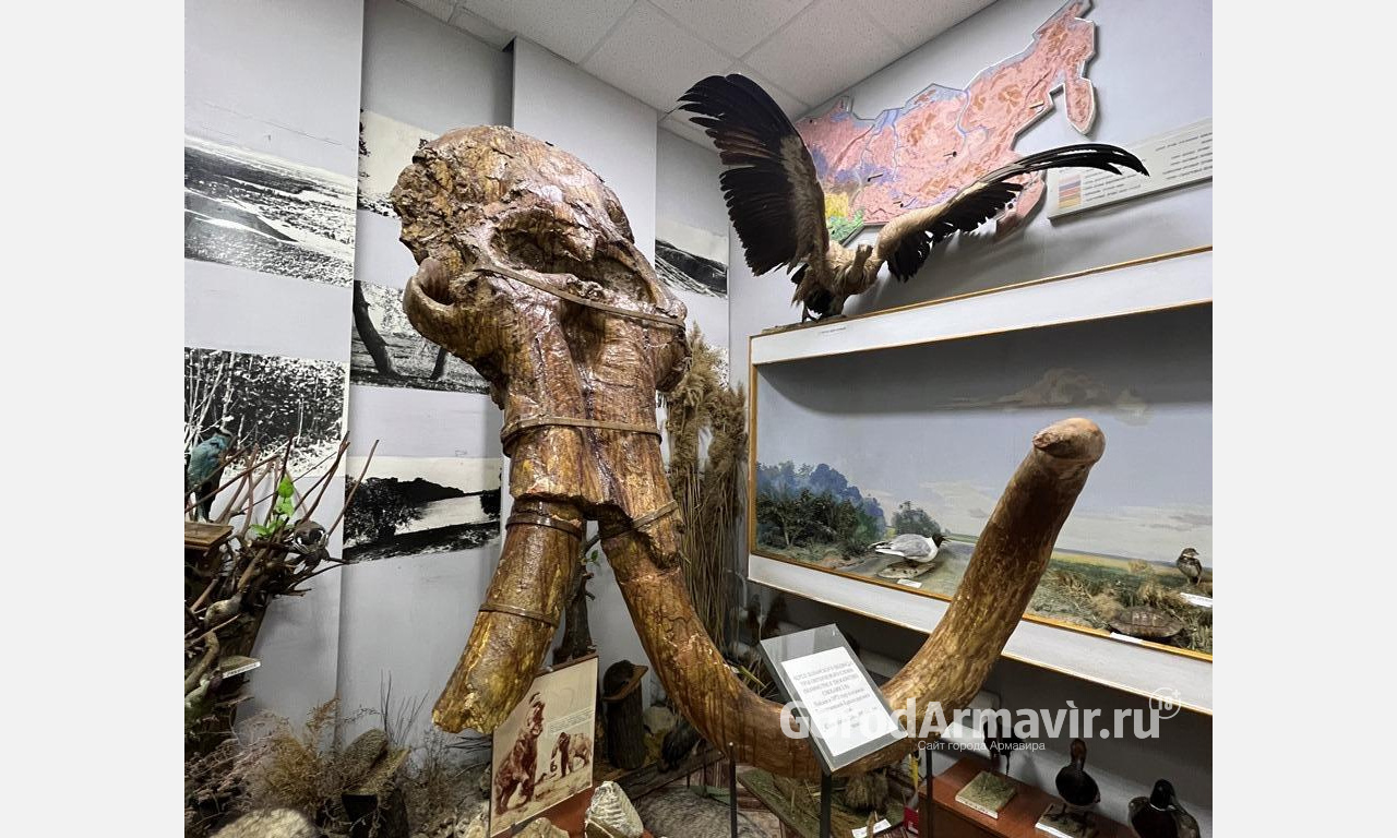 В Армавире «Ночь музеев-2022» собрала порядка 3,5 тысяч посетителей 