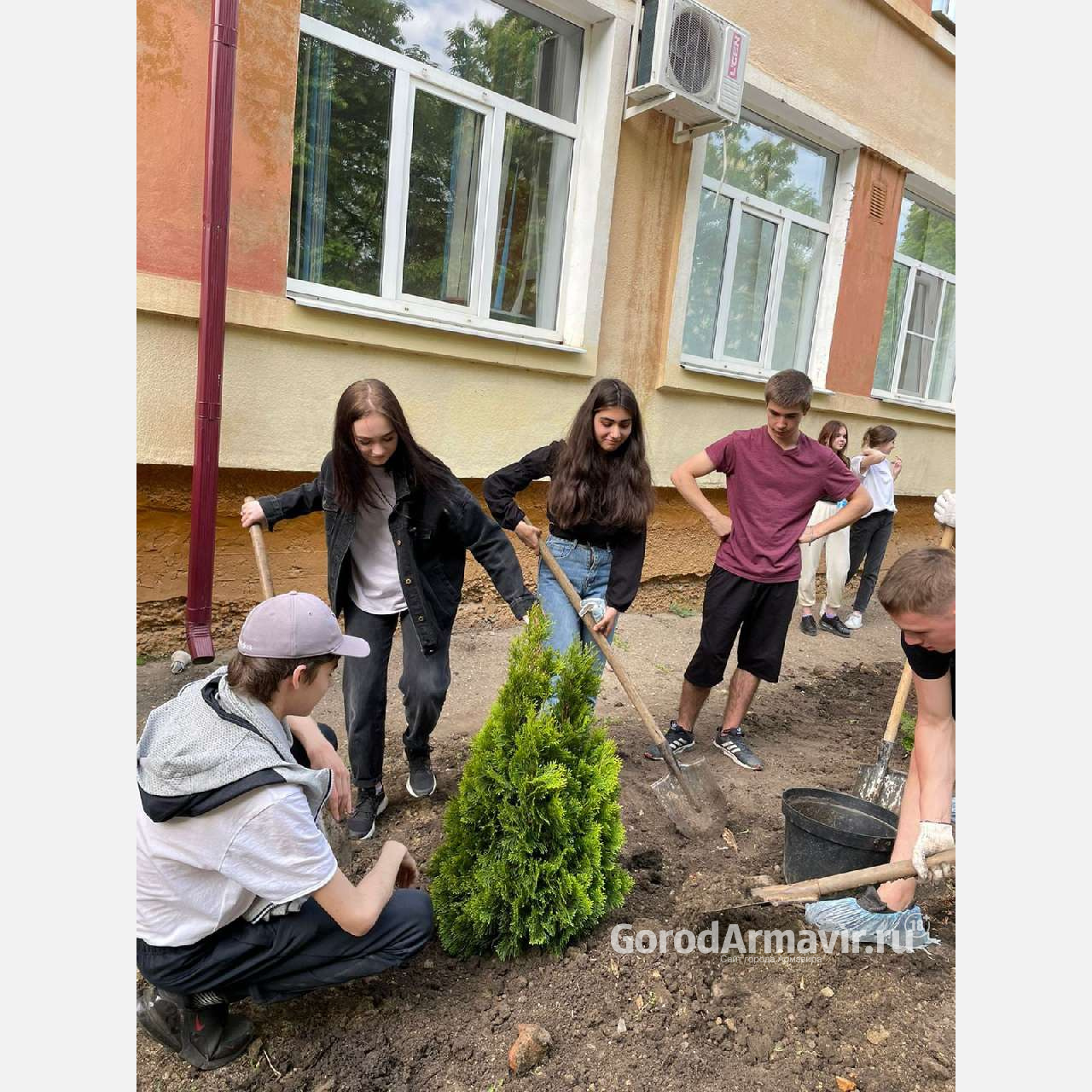 Ученики школы № 4 Армавира высадили 21 тую в рамках акции «Сад Памяти»