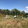В Армавире участники  экологической акции Green Drive собрали более 50 мешков мусора