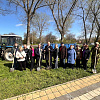 В Армавире к 80-летию Победы высадили 22 саженца ликвидамбара