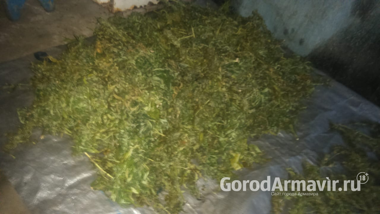 В Армавире полицейские задержали 3 парней с 500 граммами марихуаны 