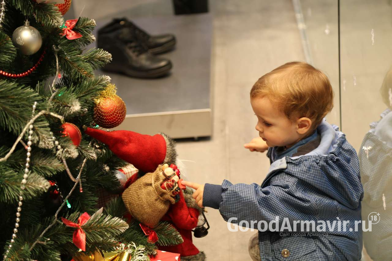 Четыре школьника из Армавира поедут на Кремлевскую елку