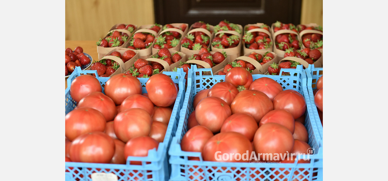 Фермеры каждый день реализуют до 70 тонн овощей на Кубани 
