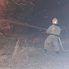 Пожар в лесу под Армавиром площадью 200 кв. м. тушили 12 огнеборцев 