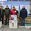 Клуб служебного собаководства ДОСААФ ведет набор на курсы по ОКД