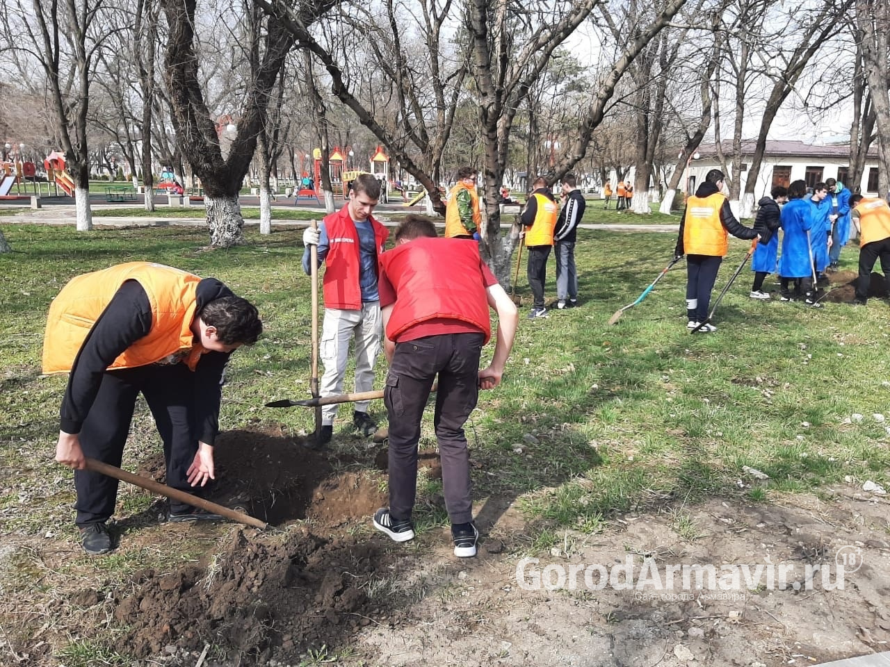 В рамках акции «Сад памяти» в Армавире высадят  деревья в Комсомольском парке 