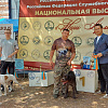 В Армавире прошла Всероссийская выставка собак всех пород ранга «Чемпион Российской кинологической федерации» 