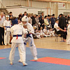 Более 200 спортсменов приняли участие в первенстве Армавира по киокусинкай
