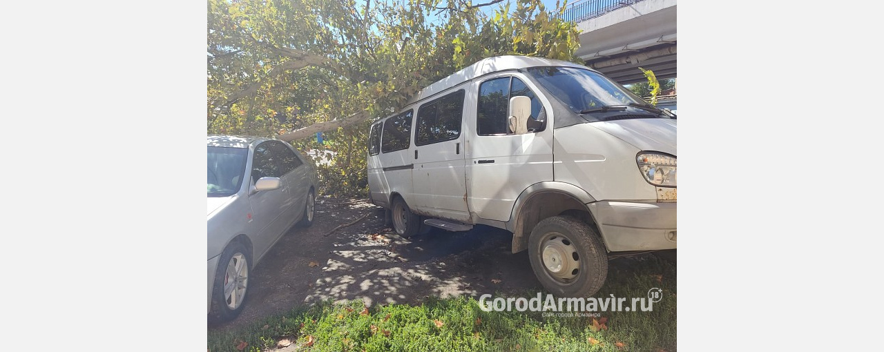 В Армавире упавшее из-за ветра дерево повредило припаркованные автомобили 