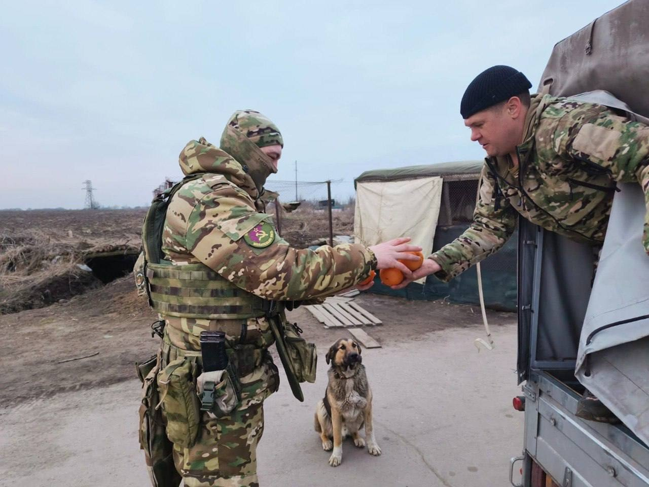 Казаки Армавира доставили больше 6 тонн помощи в ЛНР, ДНР, Херсонскую и Запорожскую области