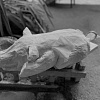 «Машину времени» для спектакля «Иван Васильевич» создают в Театре драмы и комедии Армавира