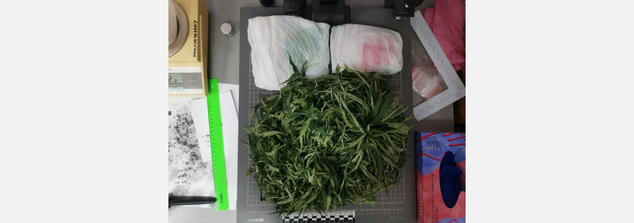  Полиция Армавира задержала рецидивиста со 100 граммами наркотика 