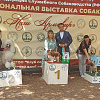 В Армавире прошла Всероссийская выставка собак всех пород ранга «Чемпион Российской кинологической федерации» 