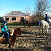 Хотите поближе познакомиться с лошадьми и научиться ездить?
