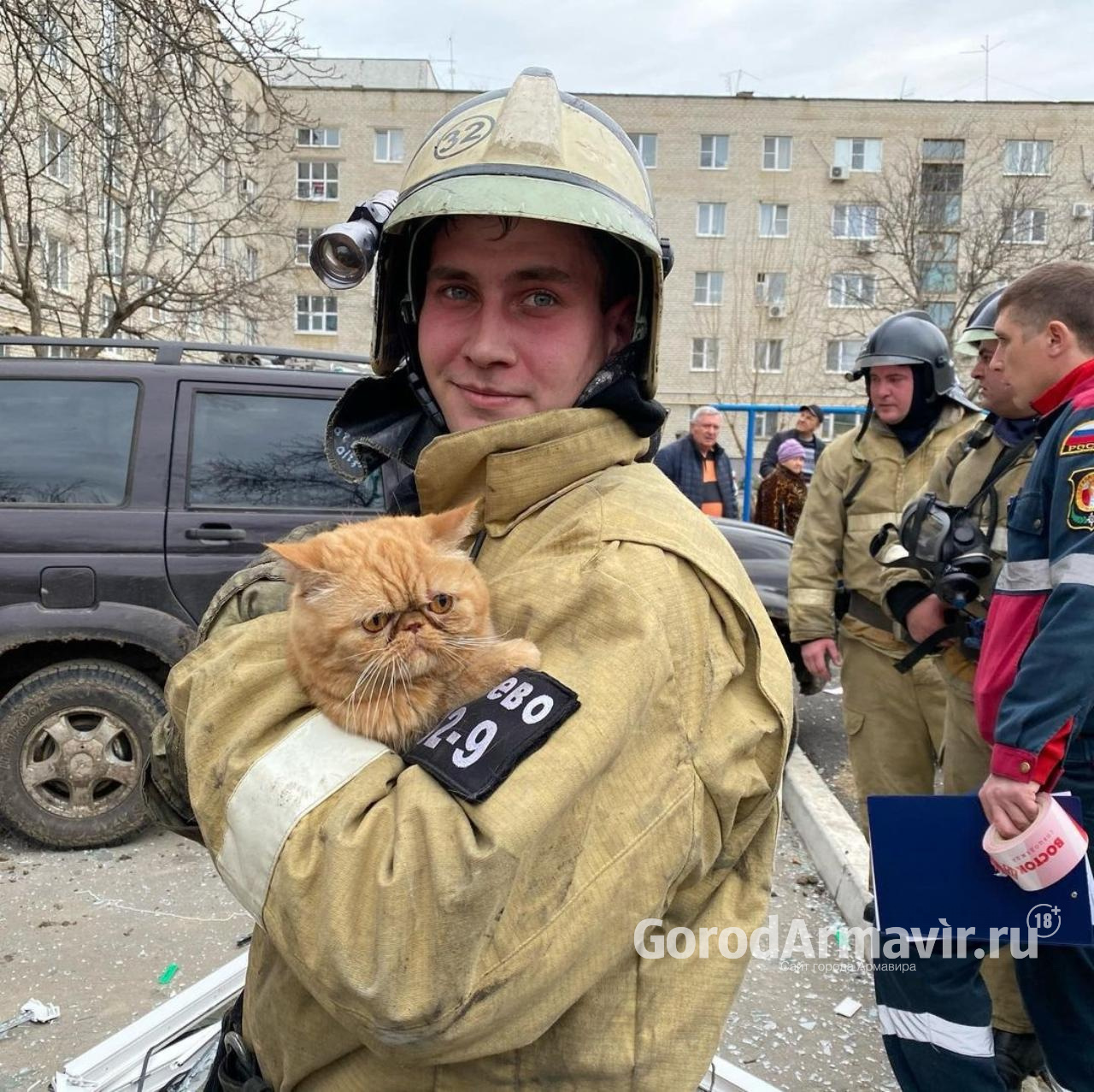 Пожарные спасли рыжего кота во время взрыва в квартире в Армавире |  02.02.2021 | Армавир - БезФормата