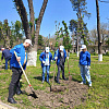 Сотрудники «Росводоканала Краснодара» высадили Аллею памяти в честь 80-летия Победы в Армавире 