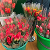 В Армавире цена тюльпана  варьируется от 40 до 70 рублей за цветок