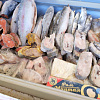 В Армавире до 26 октября будет работать ярмарка «Рыба Камчатки и Сахалина»