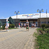 В Армавире на базе спортивной школы «Альбатрос» работает летняя оздоровительная площадка