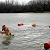 Крещенские купания в Армавире собрали более 500 человек