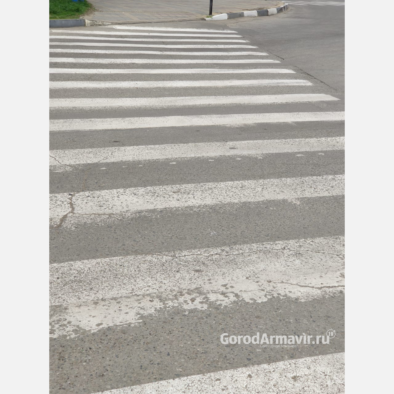 В Армавире сбивший пешеходов на «зебре» водитель предстал перед судом 