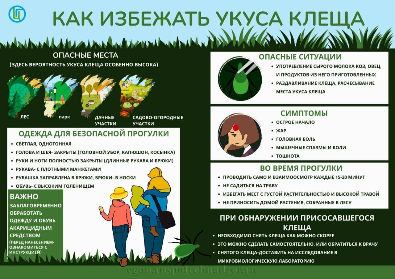 Жители Армавира могут сдать клеща на исследование в пункт Роспотребнадзора