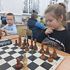 В Армавире 80 дошкольников приняли участие в традиционном турнире по быстрым шахматам 