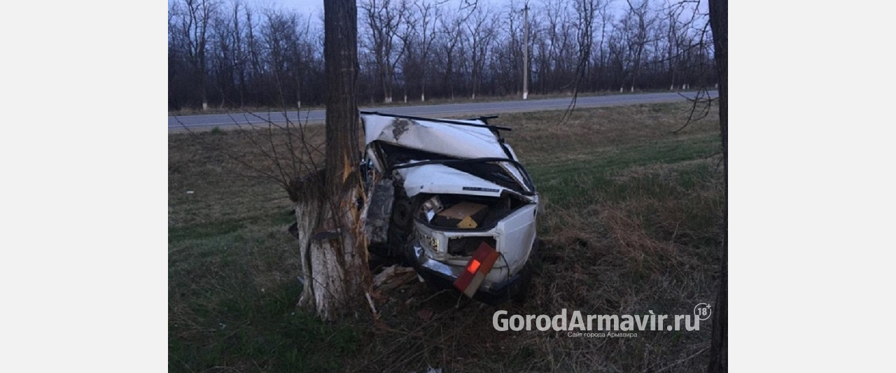 Водитель врезался в дерево и скончался после ДТП в Успенском районе 