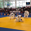 В Армавире участниками Всероссийских соревнований стали 200 дзюдоистов