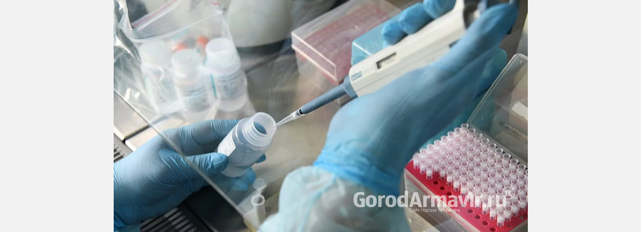 В инфекционной больнице Армавира берут анализы на коронавирус 