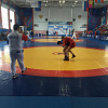 В Армавир на краевые соревнования по самбо приехали 182 спортсмена