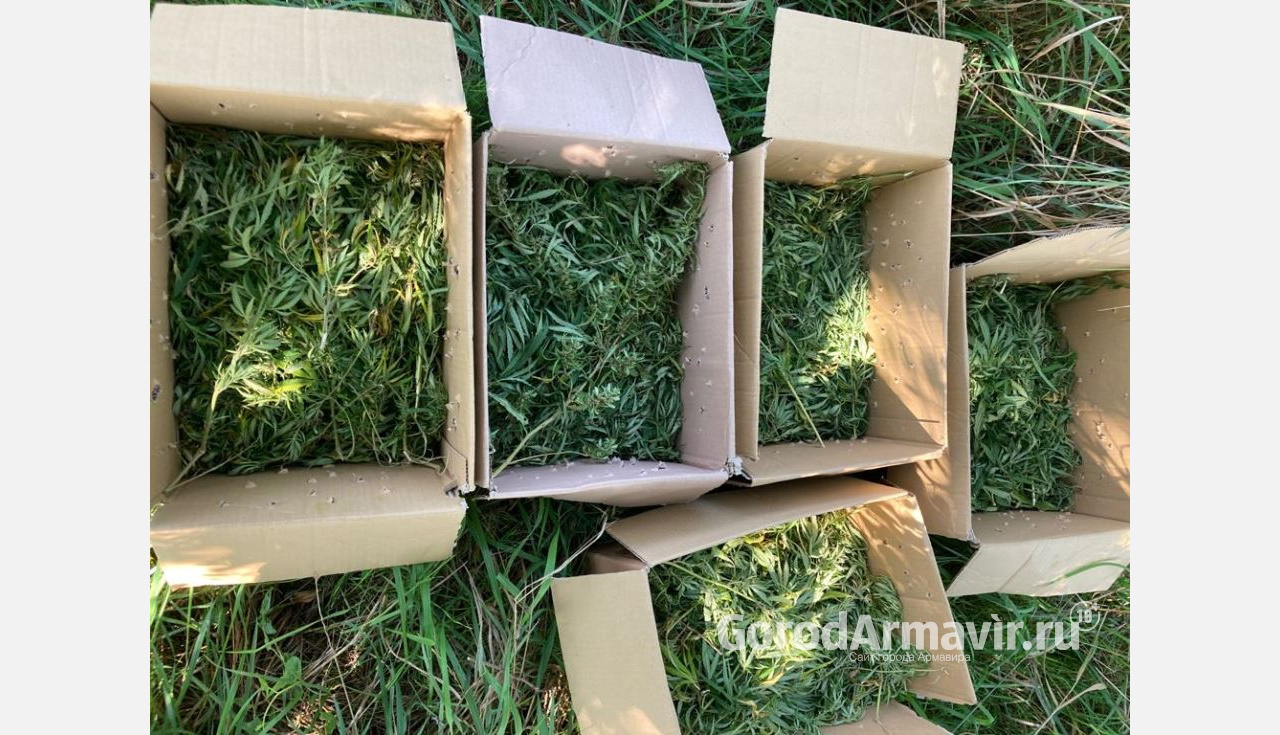 В Армавире полицейские обнаружили тайник с 5 коробками конопли
