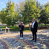 В Армавире в рамках проекта «Наше дерево» высадят более 300 деревьев 