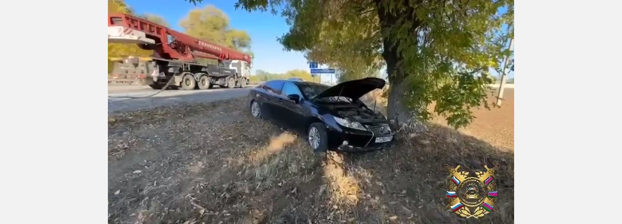 Водитель Lexus врезался в столб освещения и погиб на трассе под Армавиром