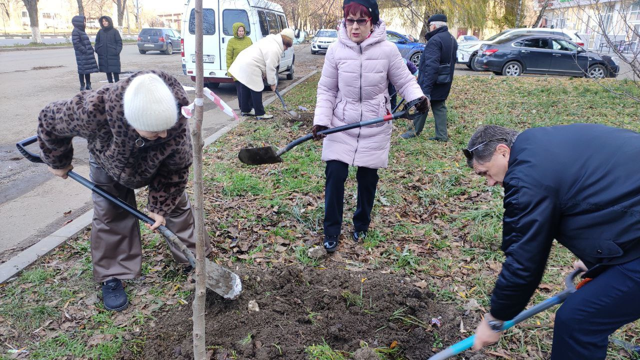 Депутат и активисты ТОС №10 высадили деревья в микрорайоне «Черемушки»