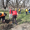 В рамках акции «Сад памяти» в Армавире высадят  деревья в Комсомольском парке 